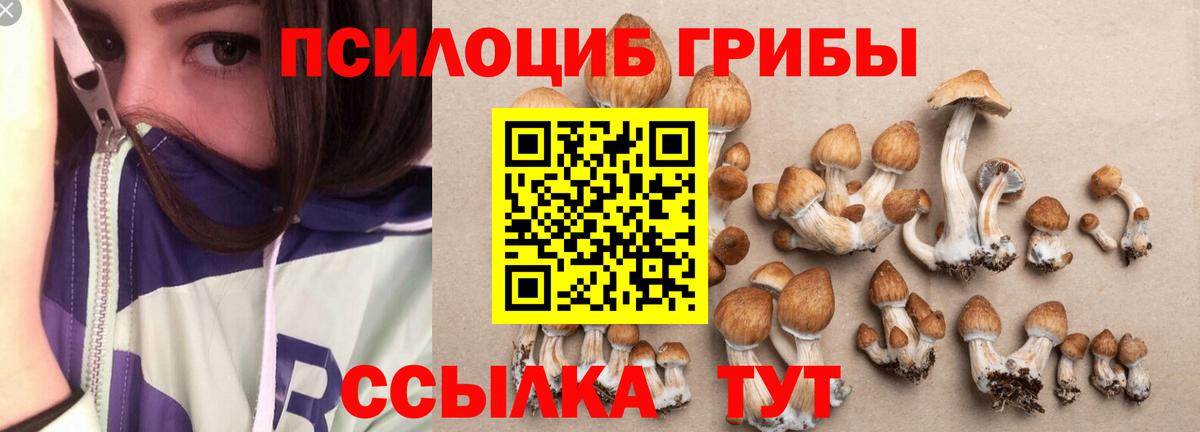 Алушта  Псилоцибиновые грибы прущие грибы  Вход с VPN 