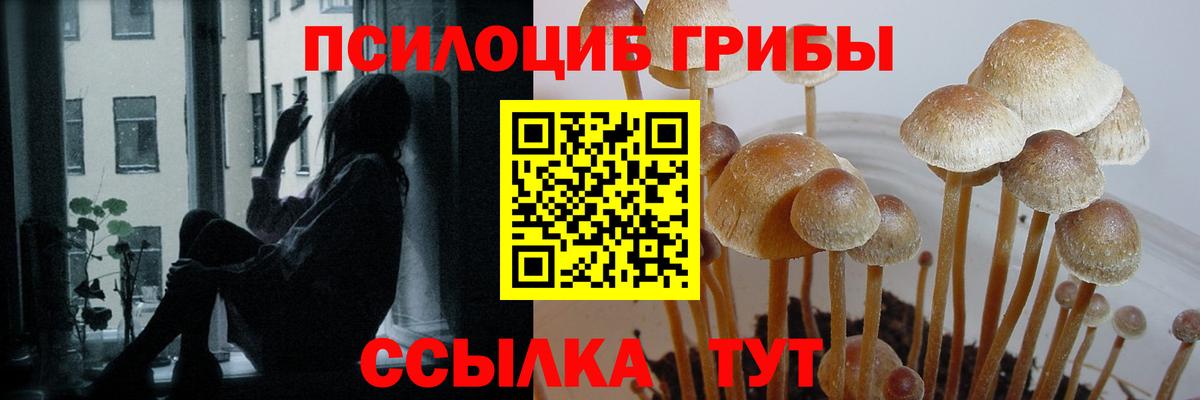 Псилоцибиновые грибы Magic Shrooms Алушта